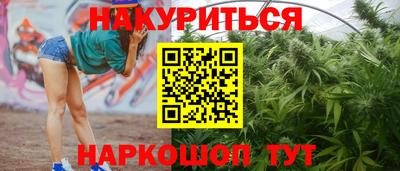 гидропоника Шебекино