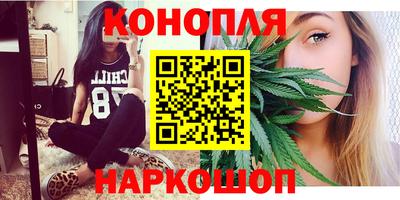 индика Шелехов