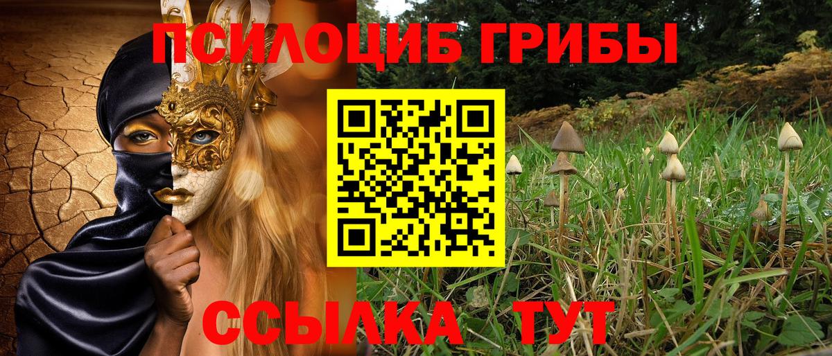 Мыски  продажа наркотиков  Вход с VPN  Галлюциногенные грибы MAGIC MUSHROOMS 