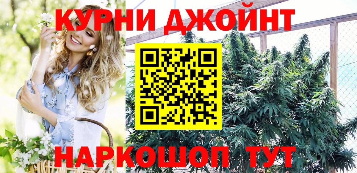 Шишки марихуана гибрид  Марихуана марихуана  Мыски  Шишки марихуана планчик  Вход с VPN 